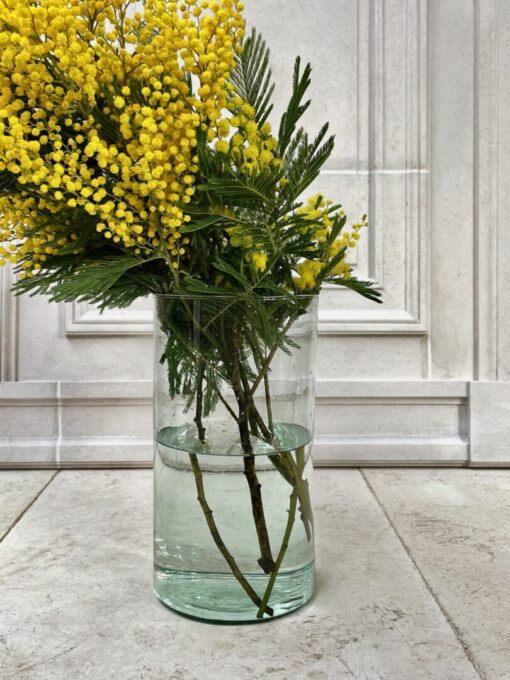 la-soufflerie-tube-rodi-transparent-vase-with-mimosa-flowers